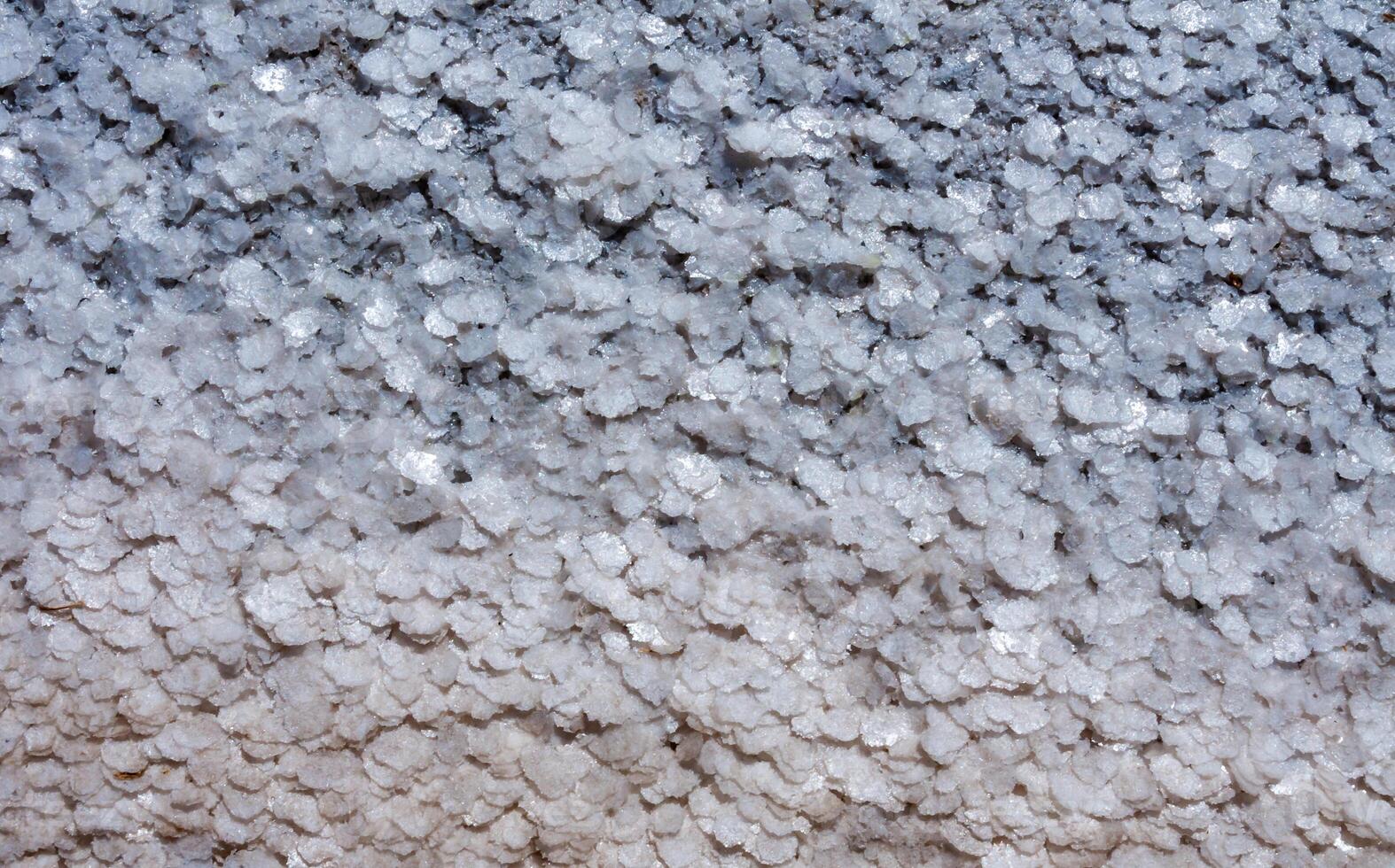Crystallized salt on a muddy bottom in the upper Kuyalnitsky estuary. Kuyalnik Estuary, Ukraine photo