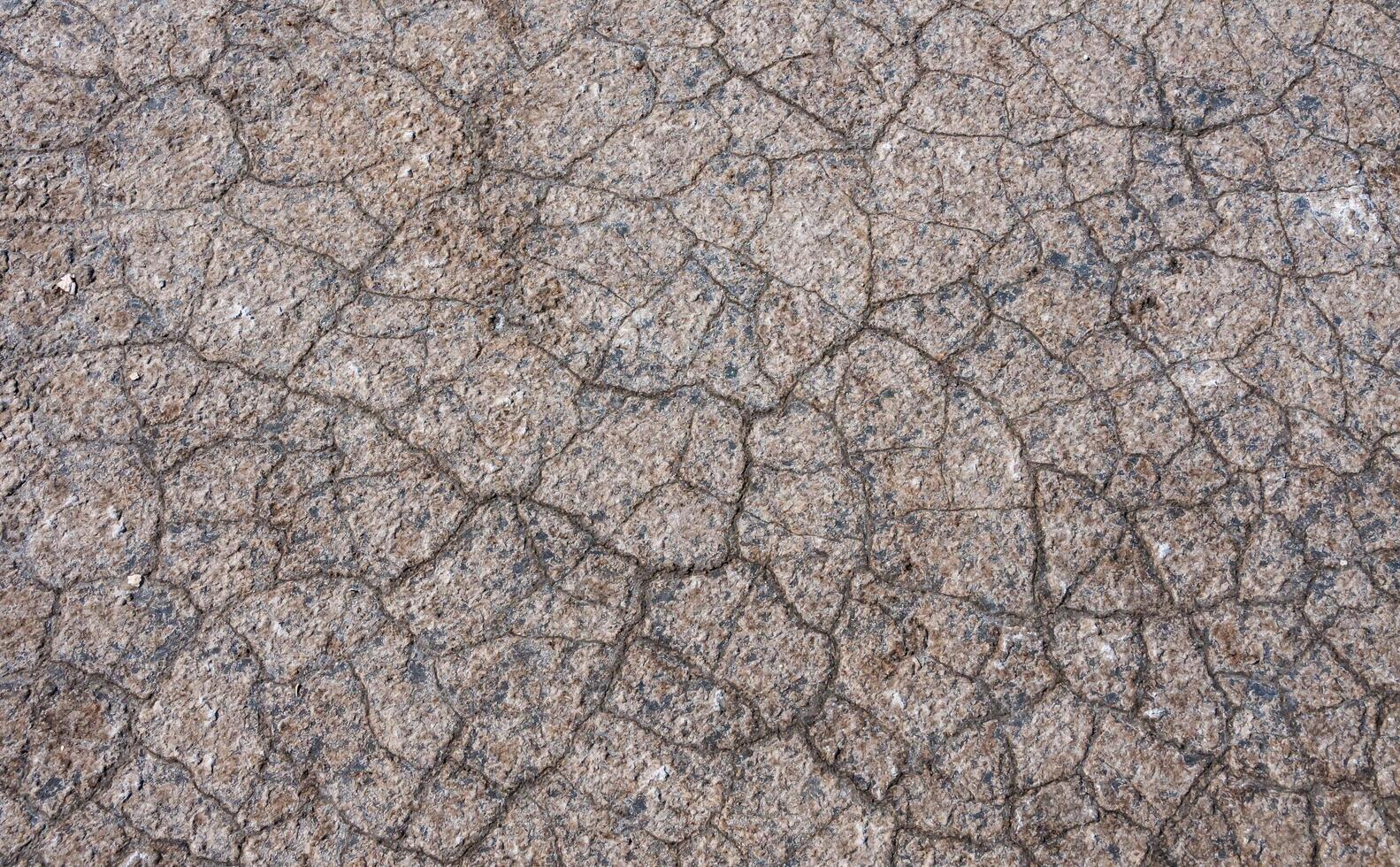 Dry cracked salty silt in the upper Kuyalnik estuary, Ukraine photo