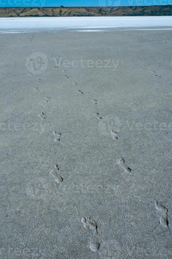 Human footprints on the dry, salt-covered muddy bottom photo