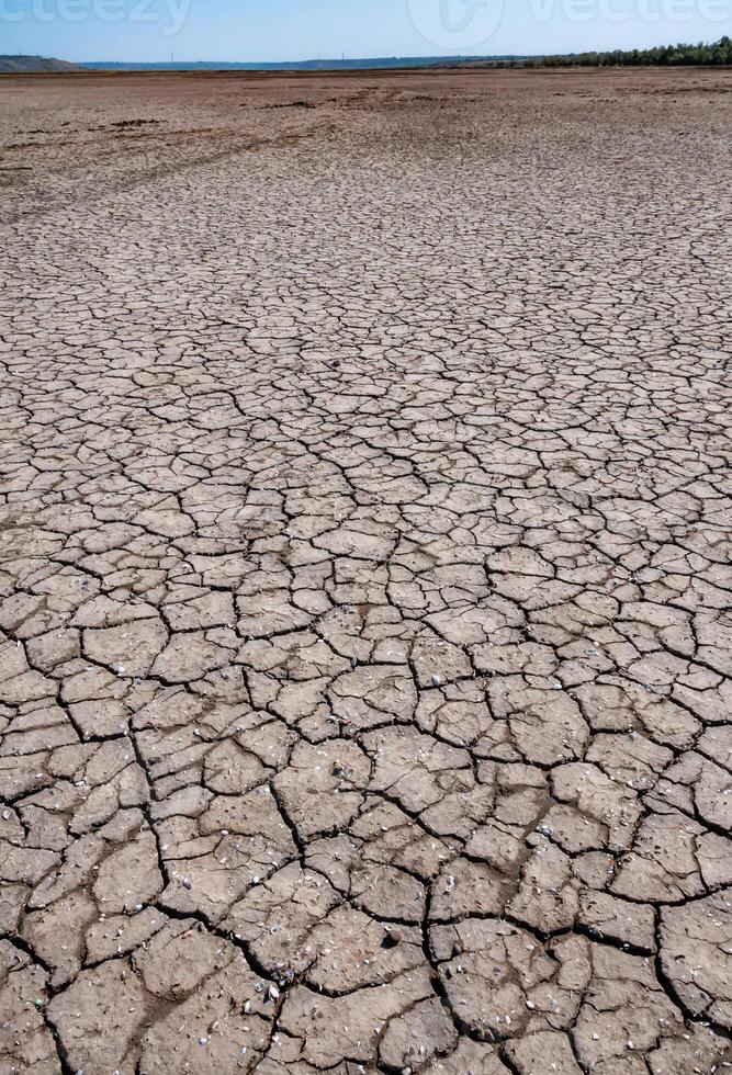 Dry cracked salty silt in the upper Kuyalnik estuary, Ukraine photo