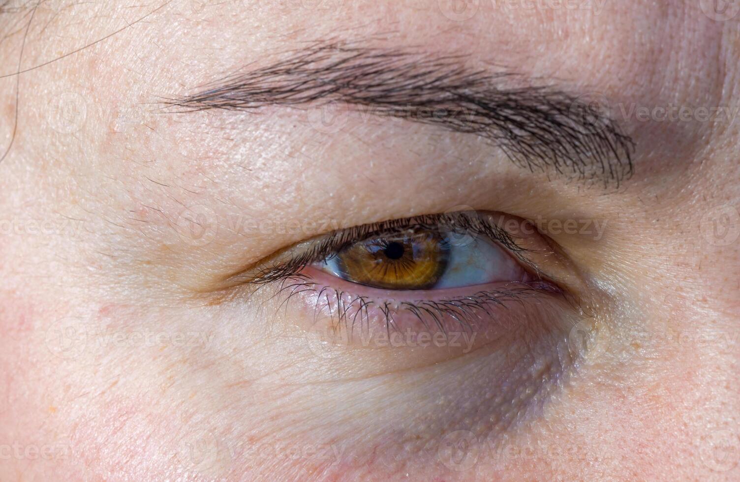 close-up of a human eye, eyelids and eyelashes on a girl's face photo