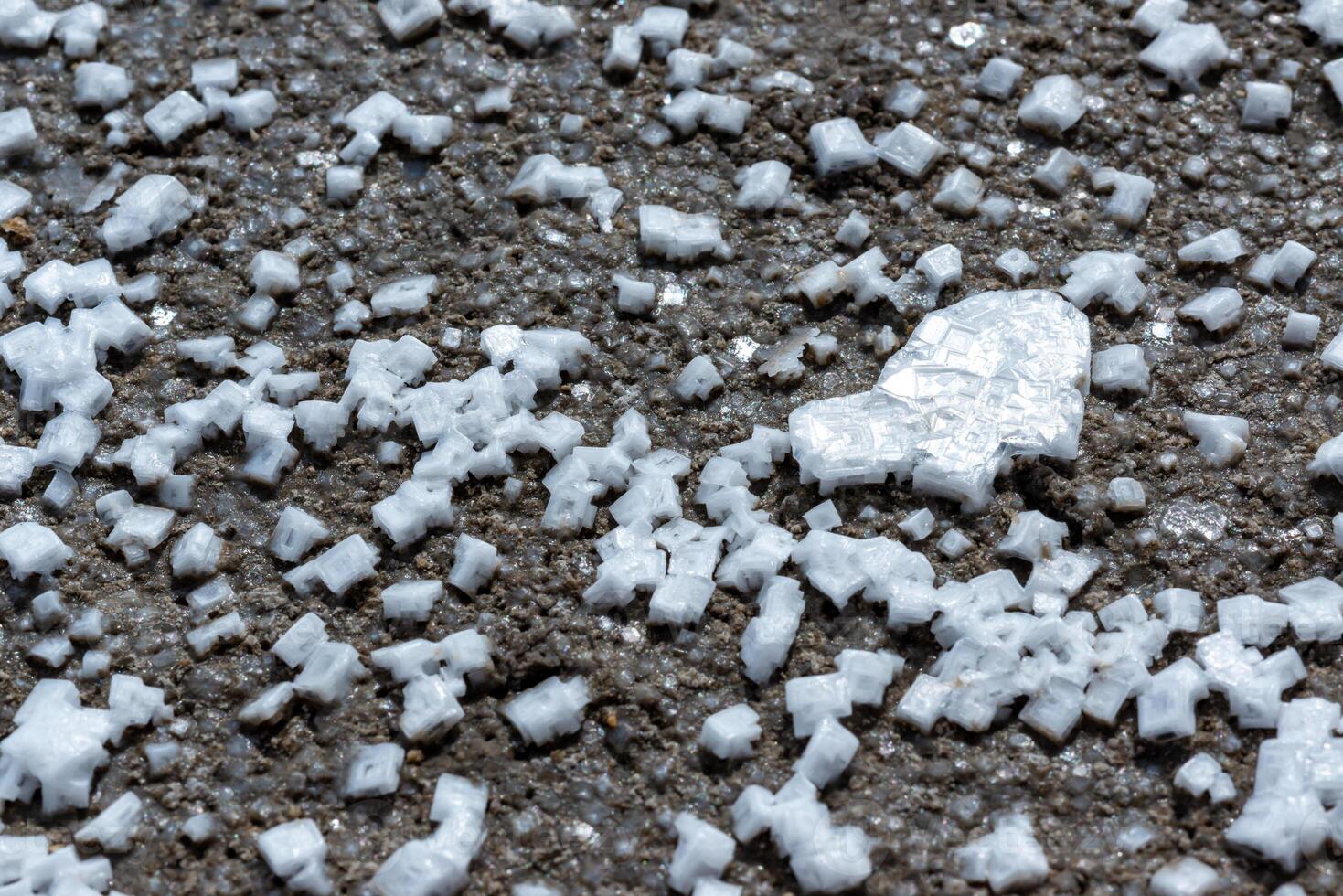 Crystals of self-precipitating common salt -sodium chloride- crystallized at the bottom photo
