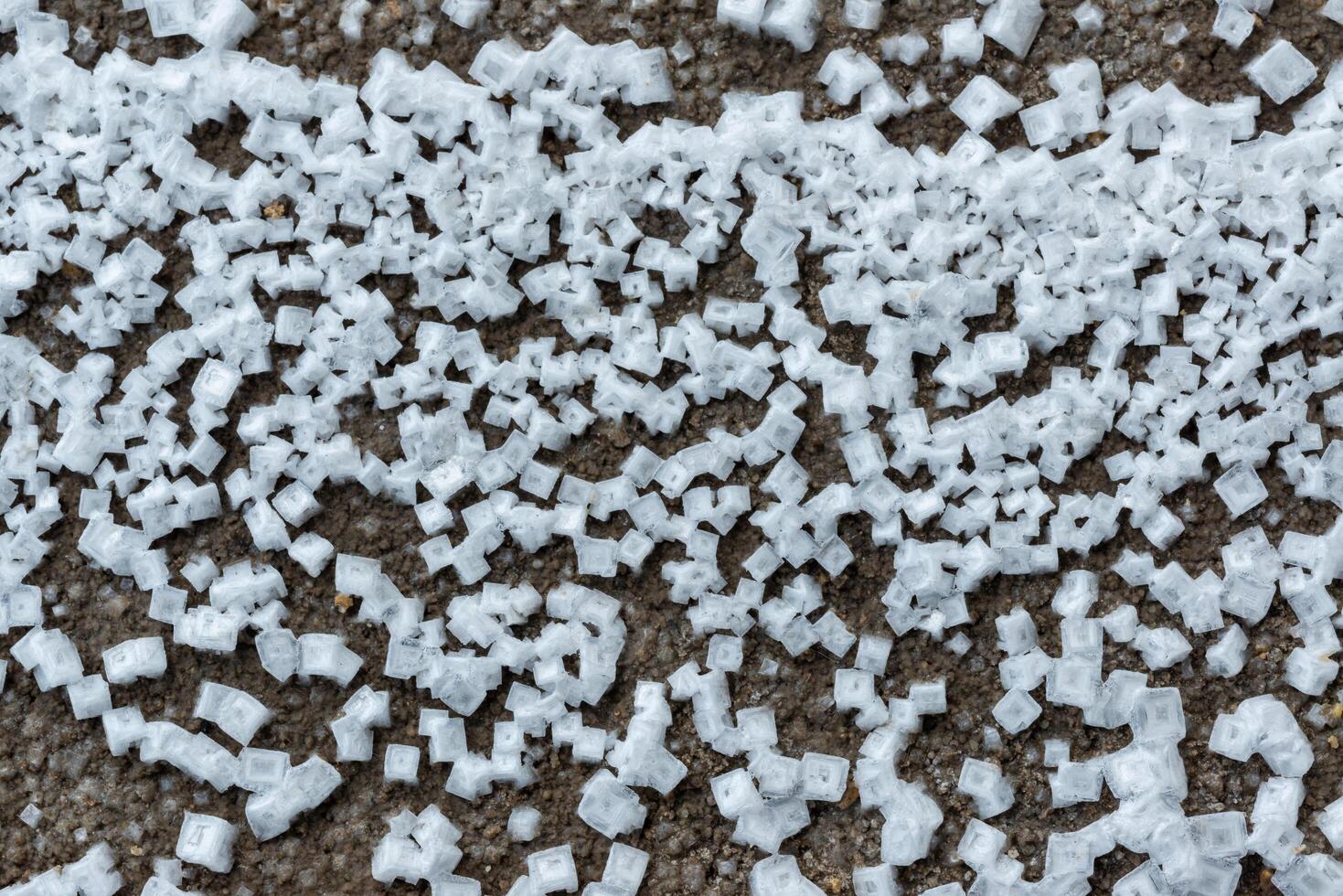 Crystals of self-precipitating common salt -sodium chloride- crystallized at the bottom photo