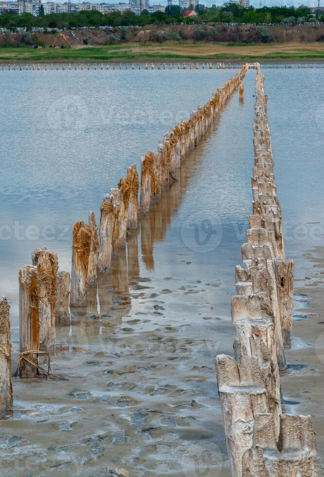 Salt Lake. Self-settling salt on wooden logs. Hypersaline water in a drying lake, an environmental problem. Ukraine photo
