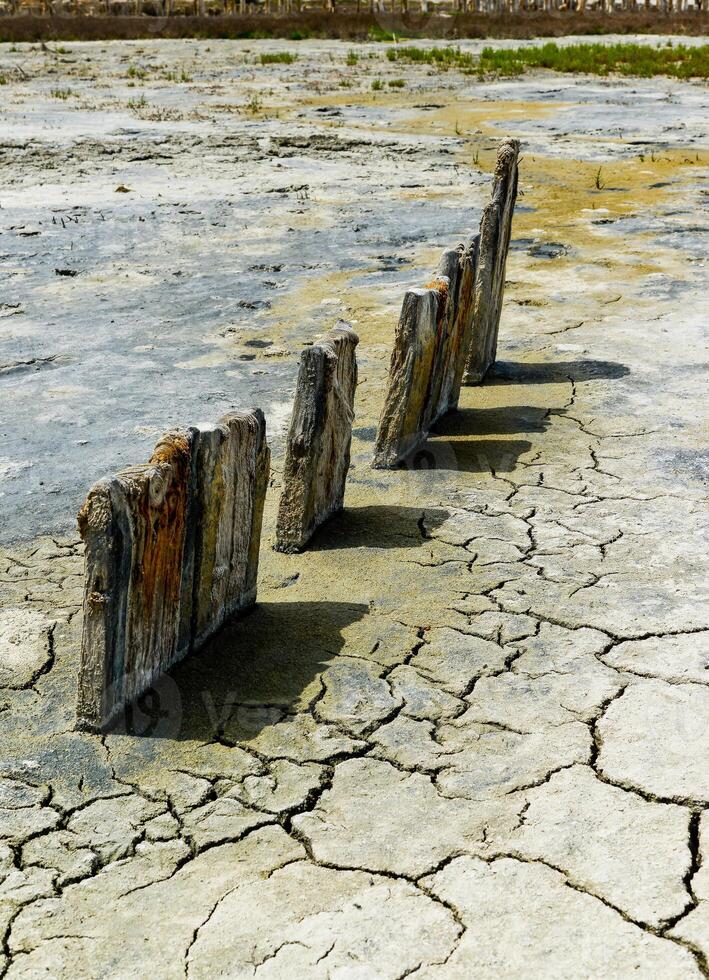 Ancient wooden piles in the Kuyalnitsky estuary photo