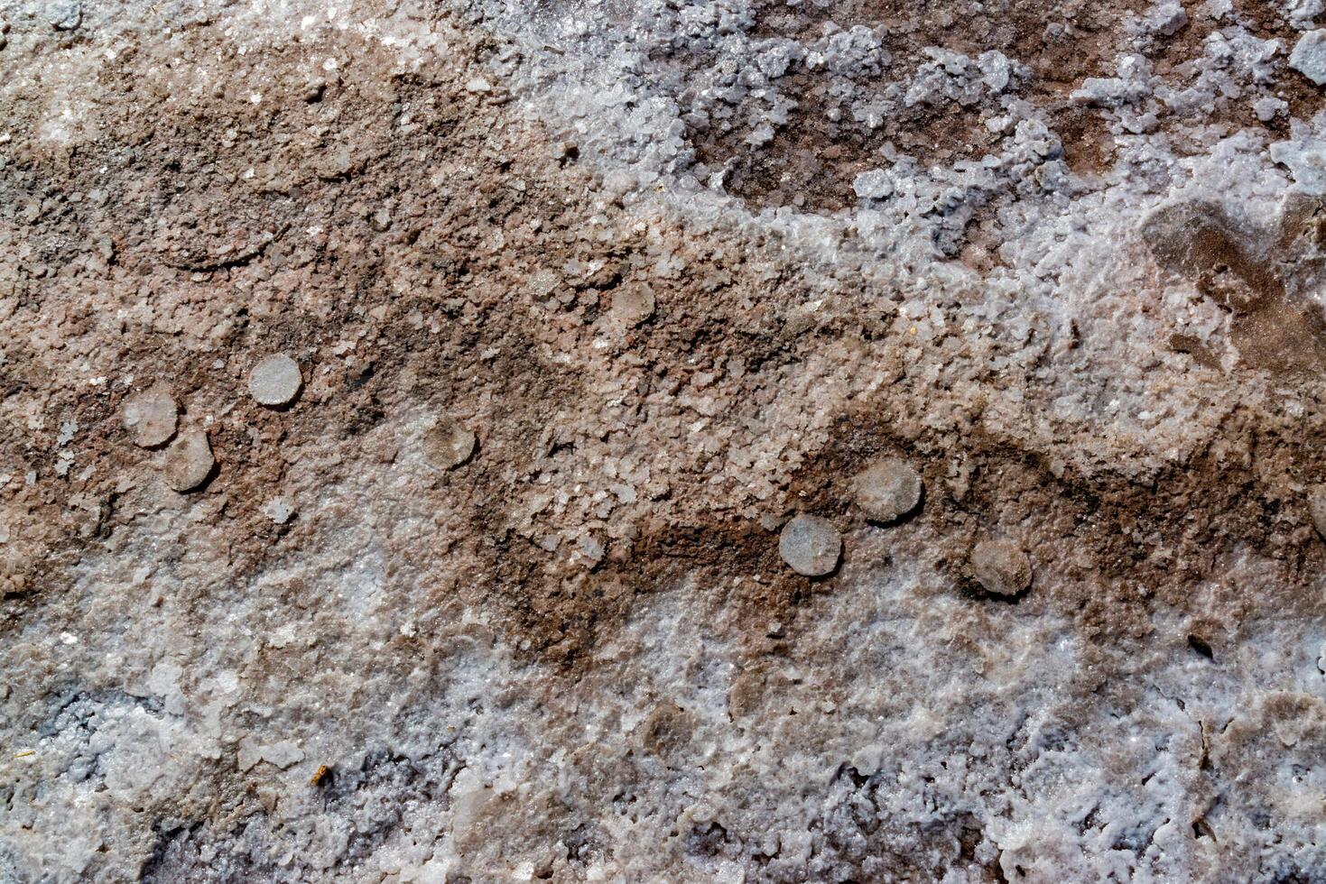 Salt Lake. Self-settling sodium chloride salt on rocks near the shore. Hypersaline water in a drying lake i photo