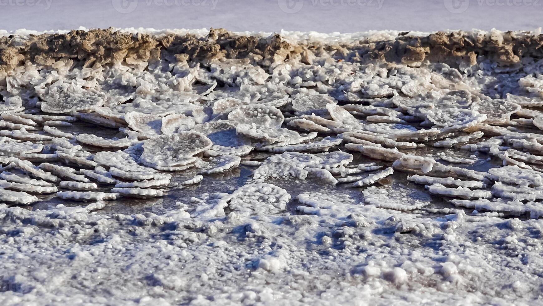 Kuyalnik estuary, Black Sea. Table salt in the form of round pancakes at the bottom and the bank of the estuary. Table salt crystals photo