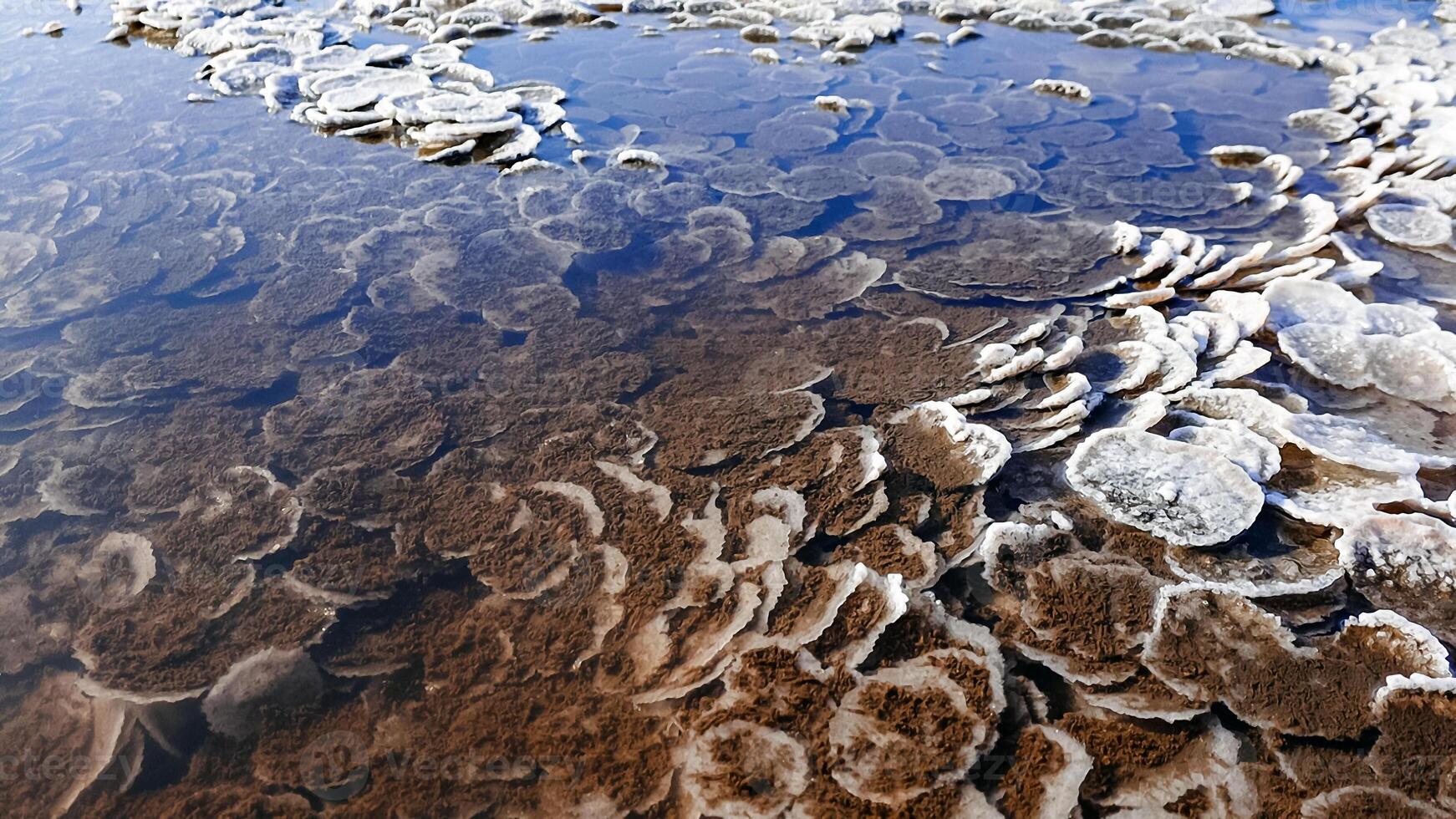 Kuyalnik estuary, Black Sea. Table salt in the form of round pancakes at the bottom and the bank of the estuary. Table salt crystals photo
