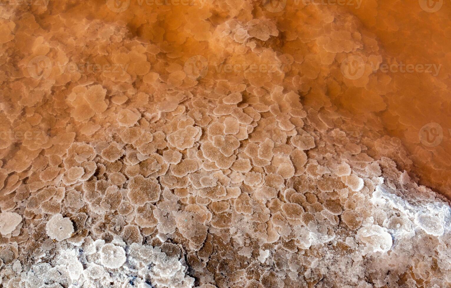 Self-sedimentary salt in the form of round crystalline formations in the hypersaline Kuyalnitsky estuary, an ecological disaster photo