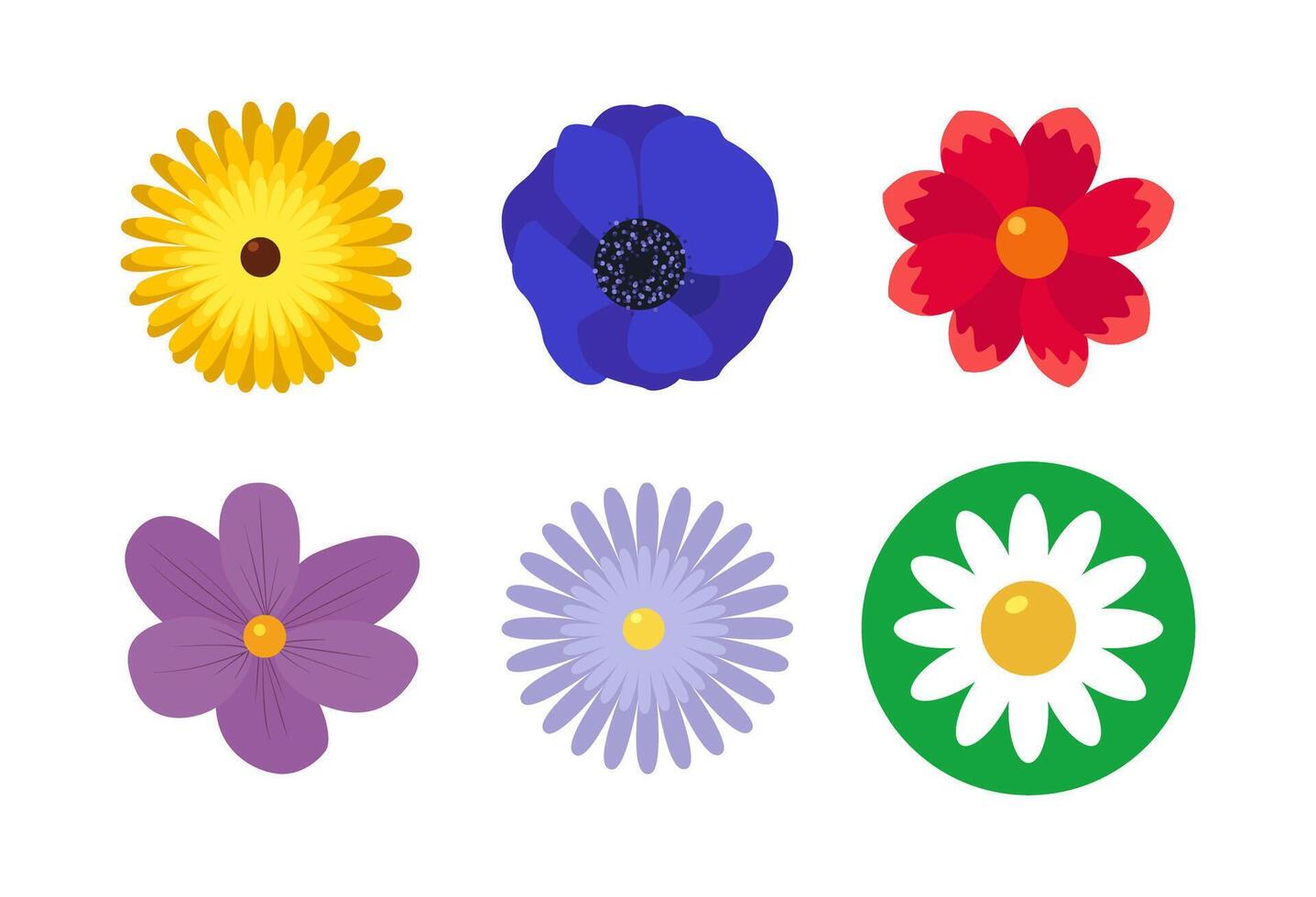 Flowers simple set. Floral flat style vector