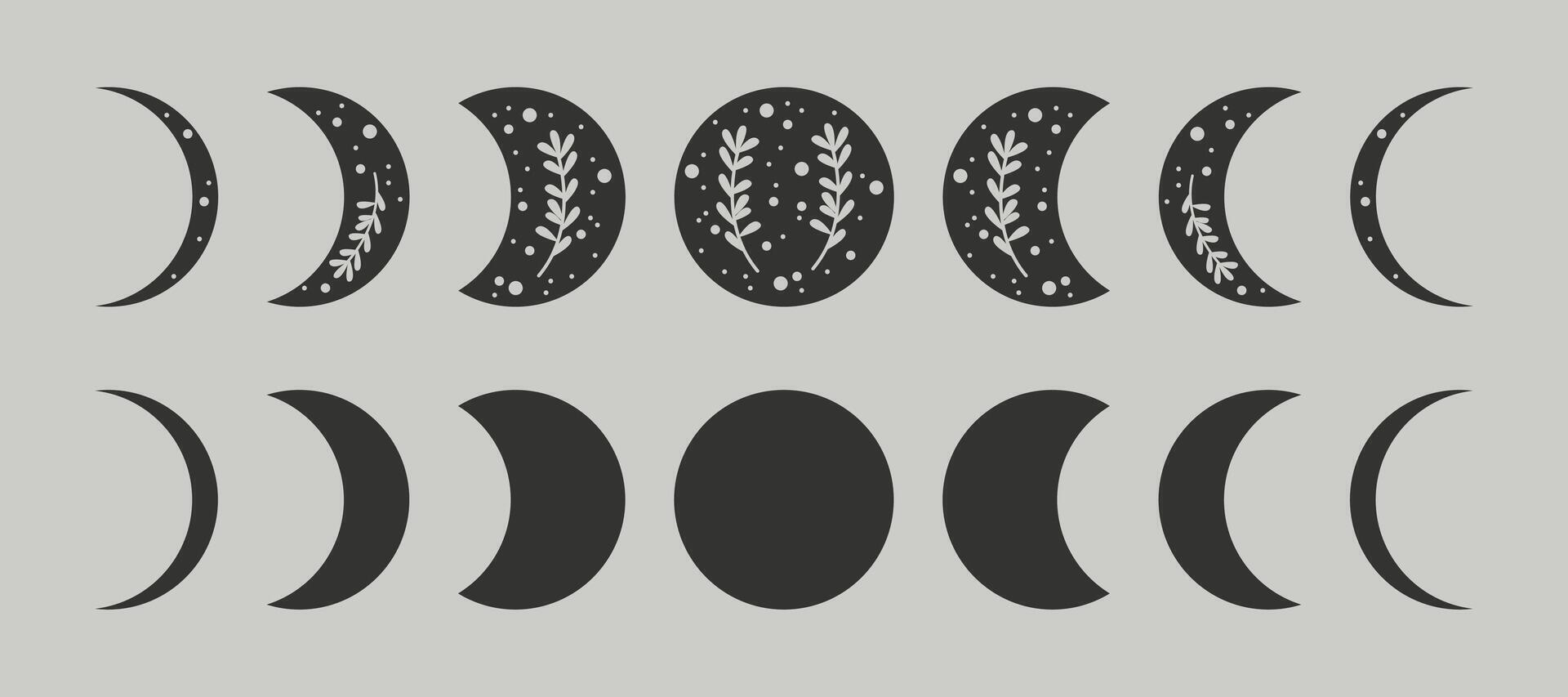 Moon phase icons with plants vector