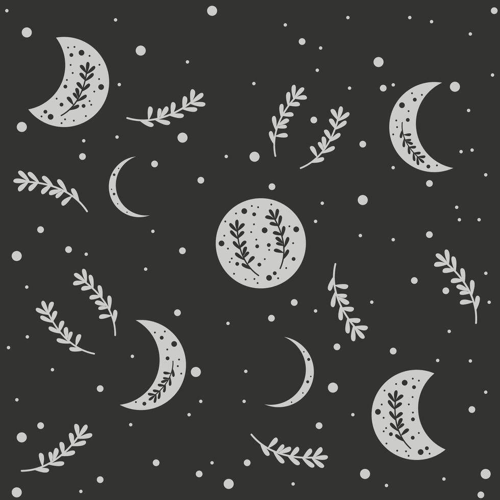 Moon pattern, moon phase with plants vector