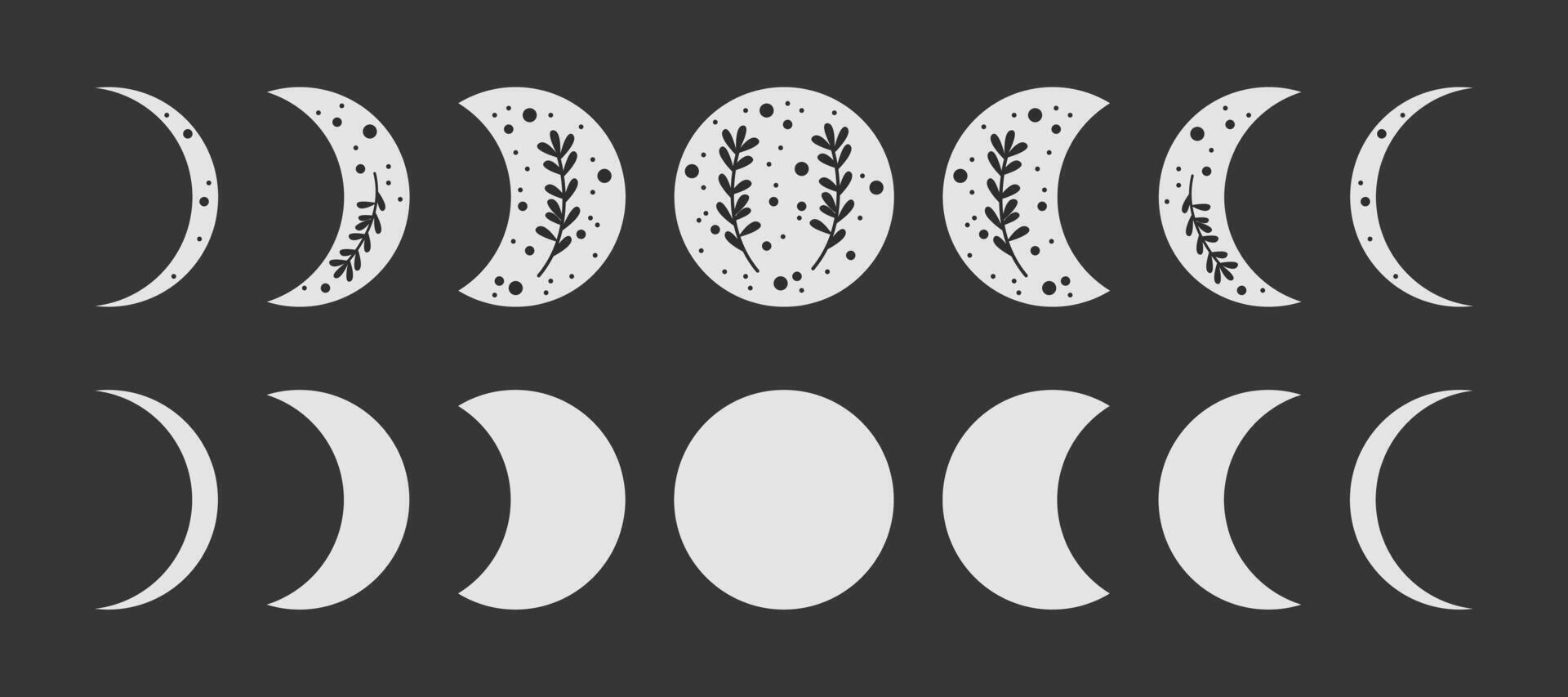 Moon phase icons with plants vector