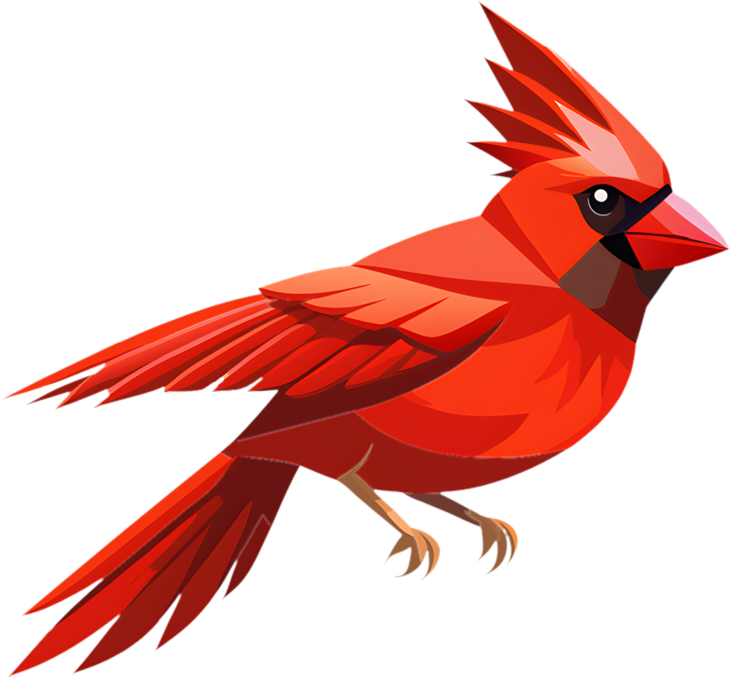 Colorful Northern Cardinal Bird Image. . png