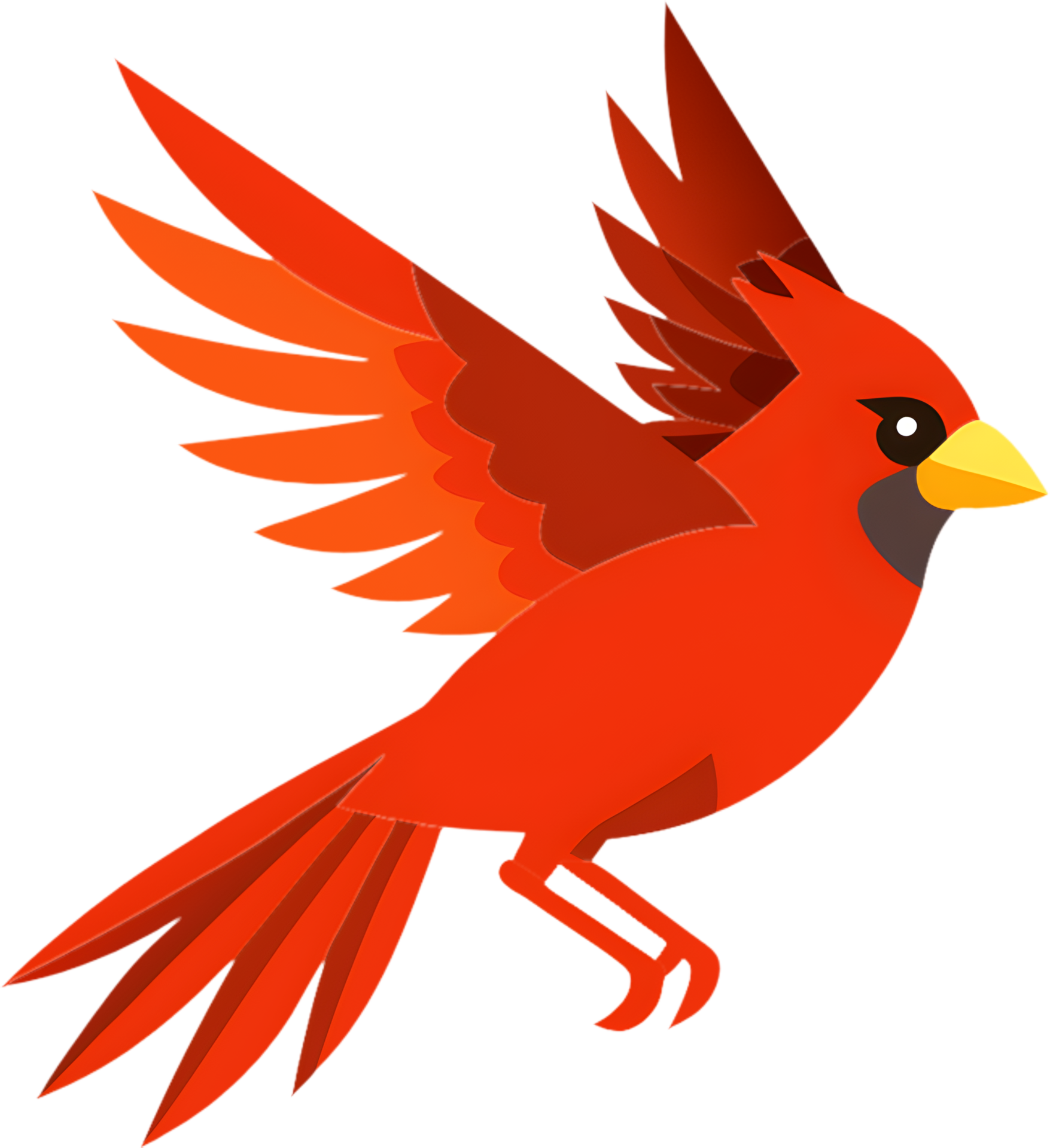 Bold northern cardinal bird illustration 49718607 png