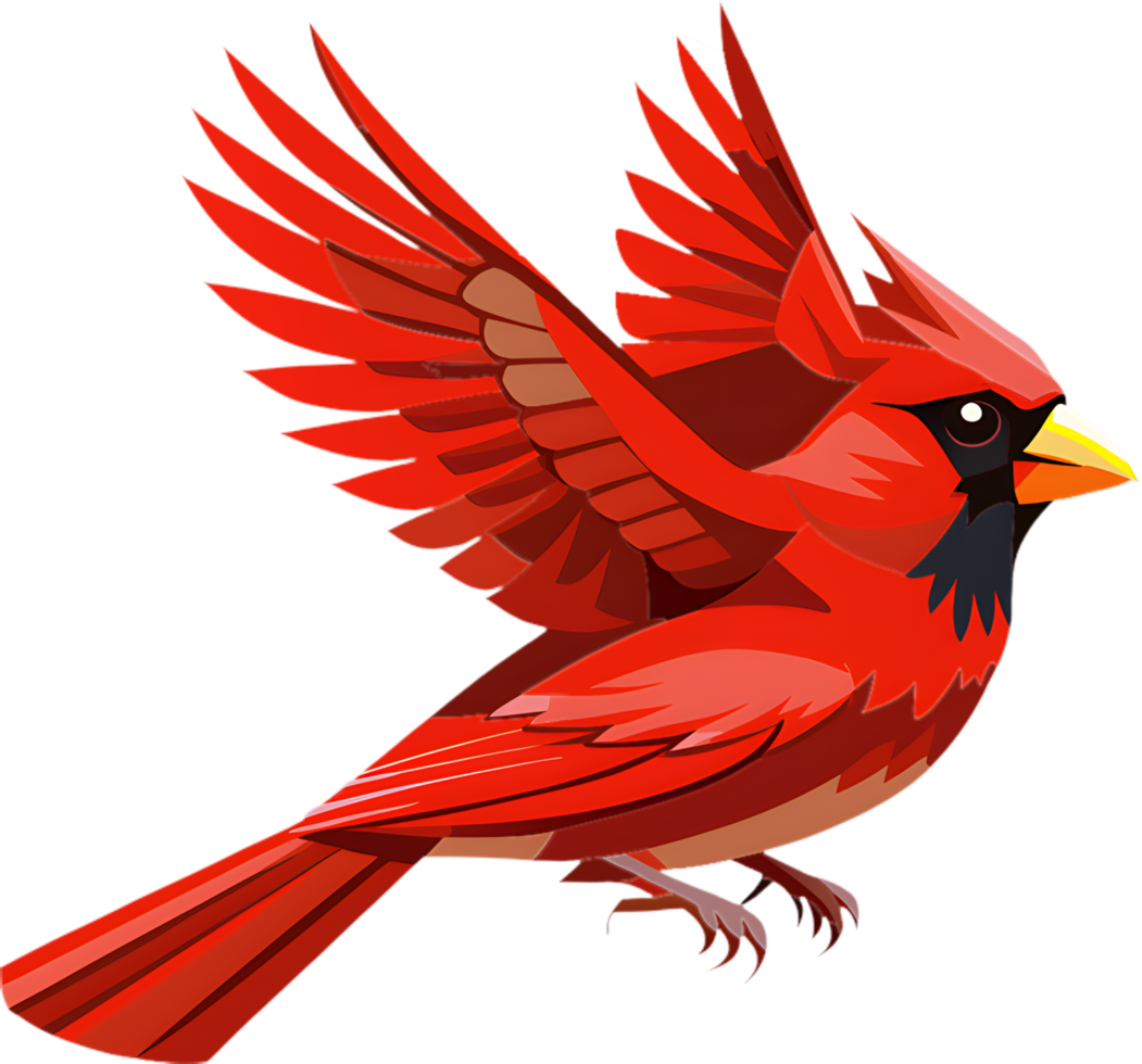Radiant Northern Cardinal Bird Graphic. . png