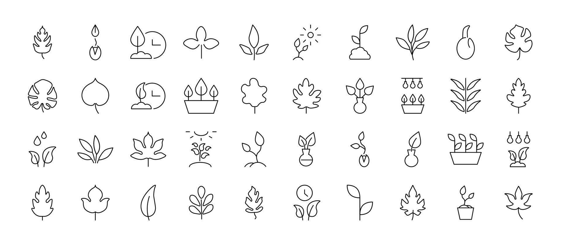 Collection of Line Icons of leaves, gardening, nature for Adverts. Suitable for books, stores, shops. Editable stroke in minimalistic outline style. Symbol for design vector
