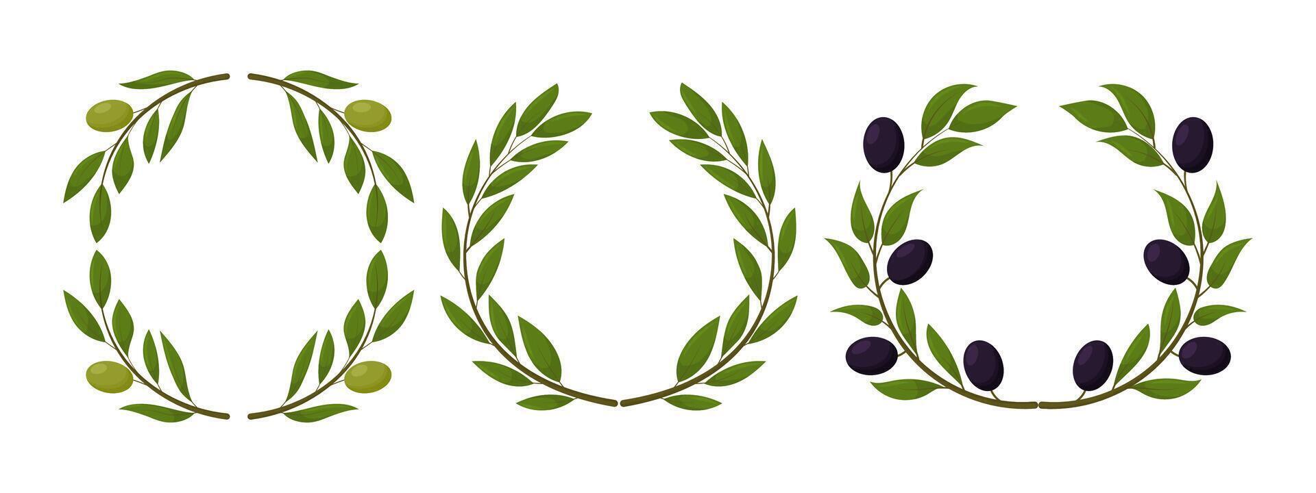Organic olive products set. Wreath of black olives. vector