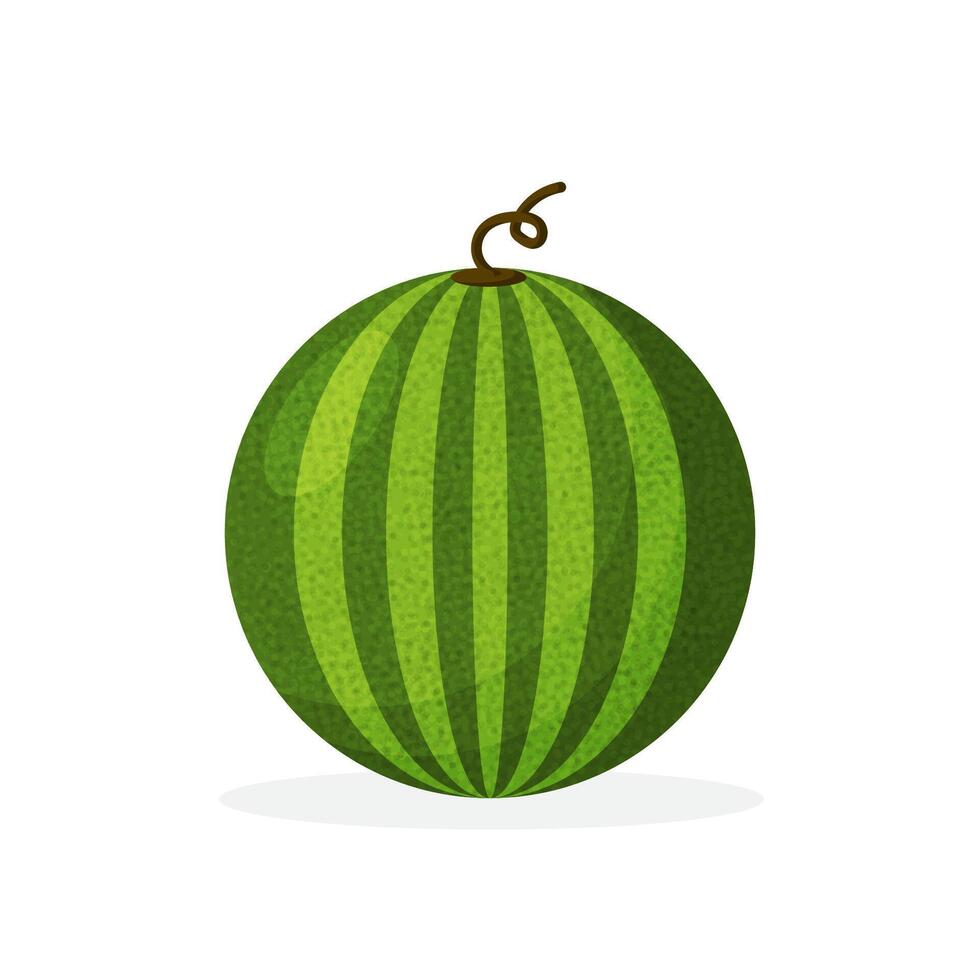 Round watermelon icon isolated on white background. vector