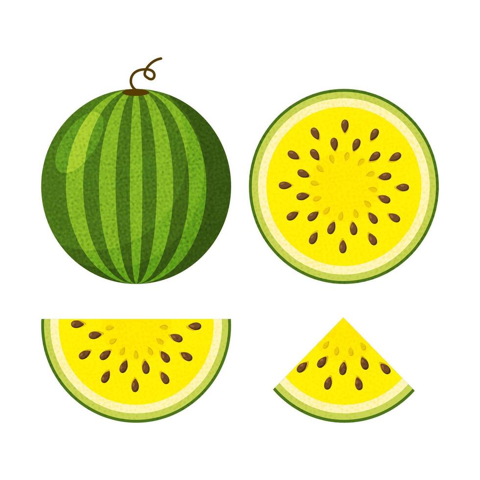 yellow watermelon icons set. Slices of watermelon and whole watermelon in a flat style. Vivid images of watermelons for various applications. vector