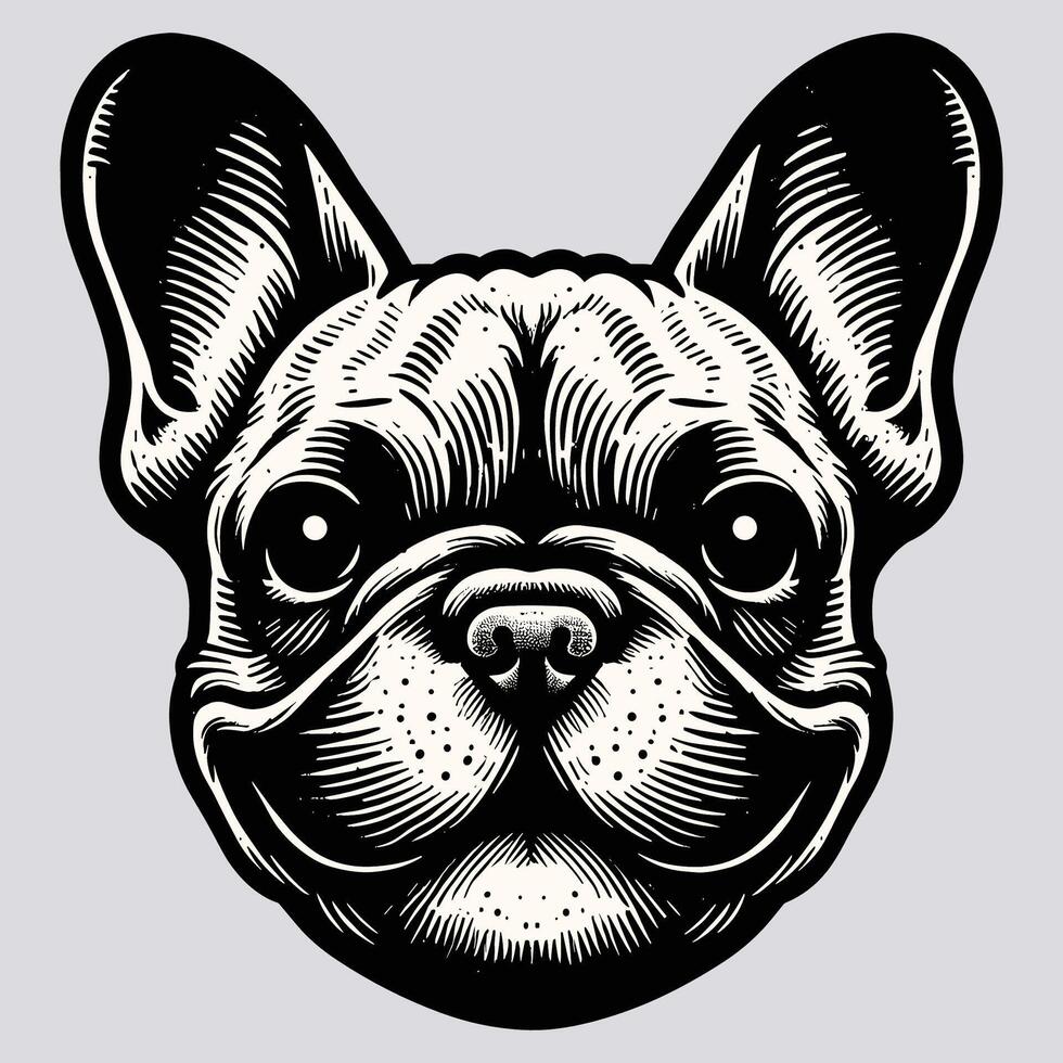 Vintage Black and White Illustration of a Pug Dog Face with Detailed Line Art vector