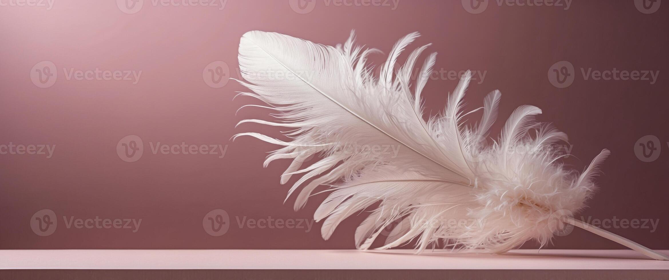 white feather on a pink background Square podium for product presentation. photo