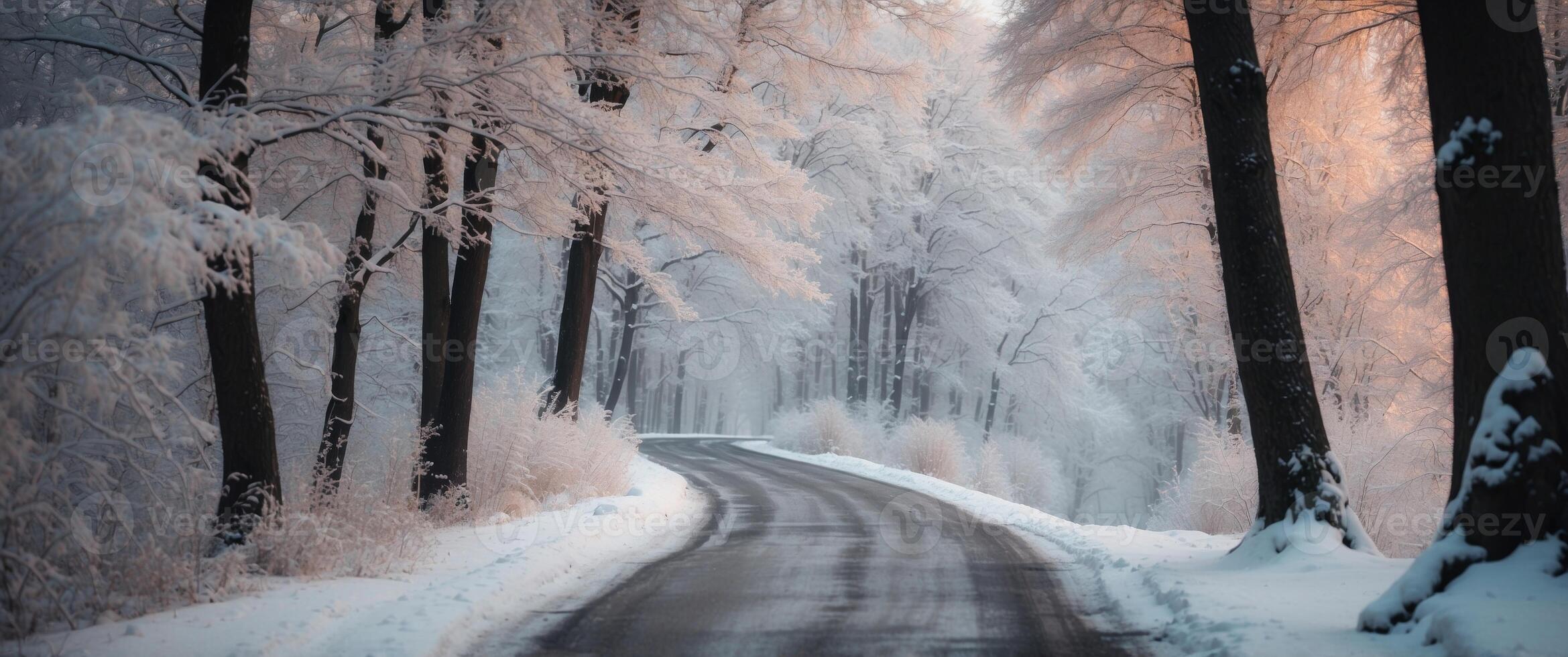 Road through the winter wonderland forest. photo