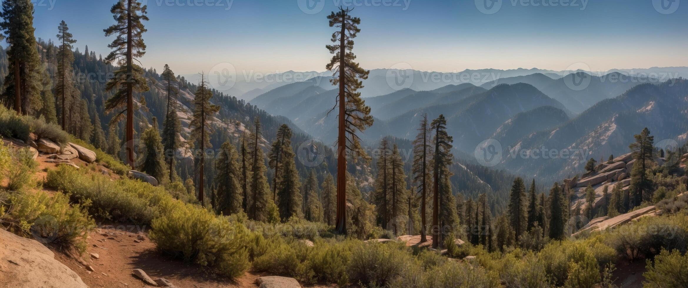 Panoramic view in Sequoia and Kings Canyon National Park. photo