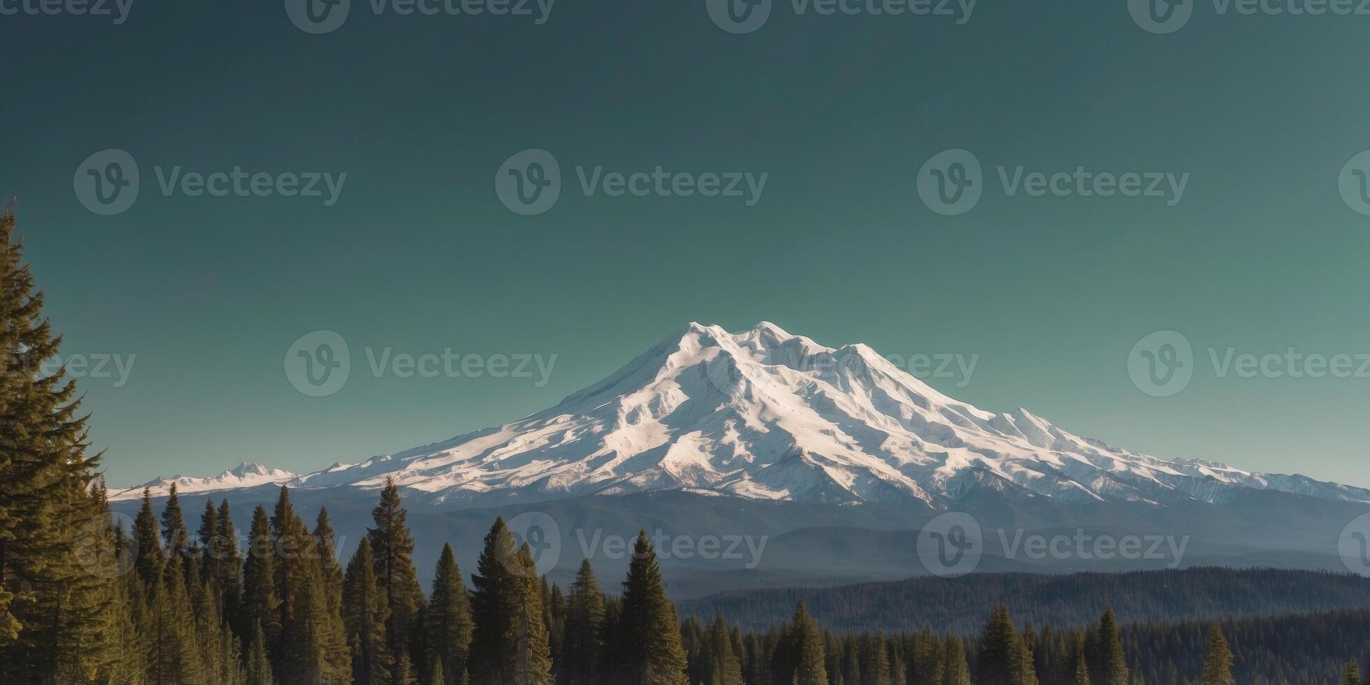 Green forest and Mount Shasta with no snow on the background S. photo