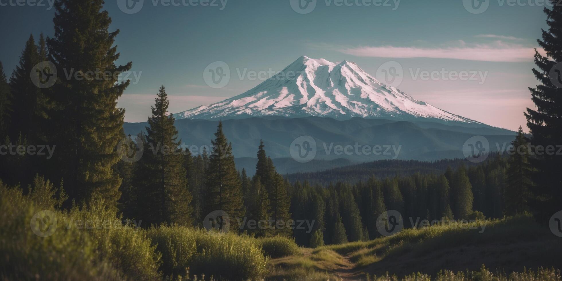 Green forest and Mount Shasta with no snow on the background S. photo