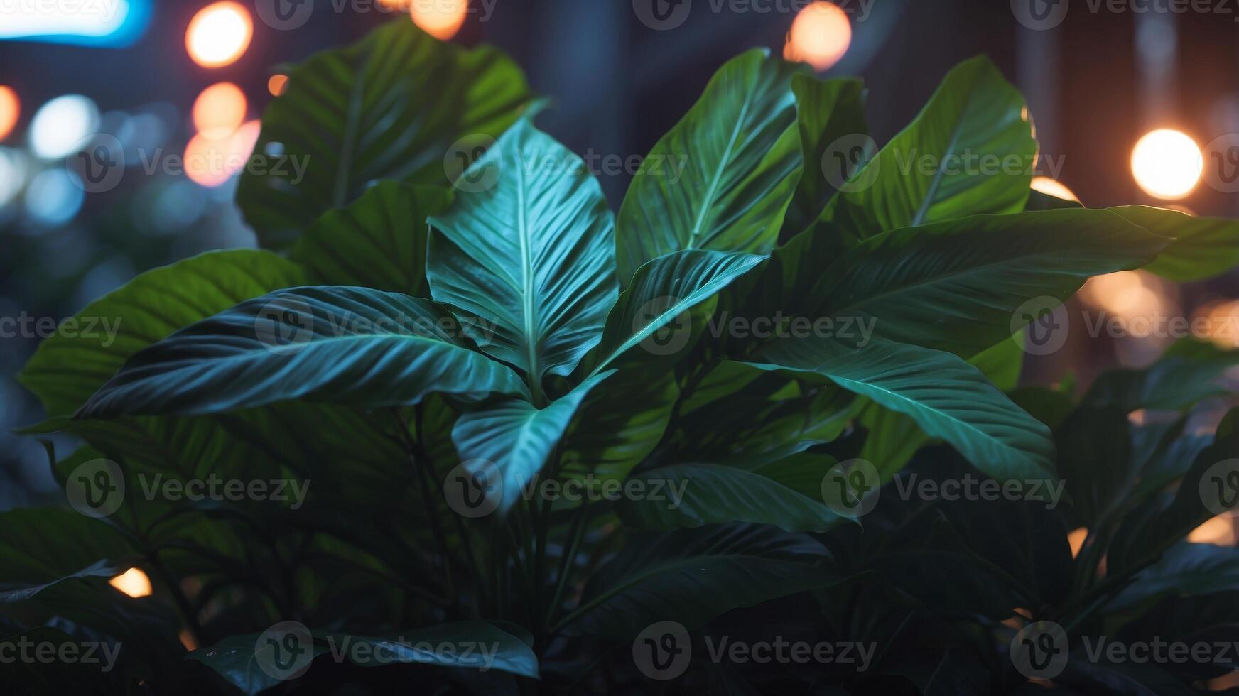 Green and Blue Neon Light with Tropical Leaves. photo