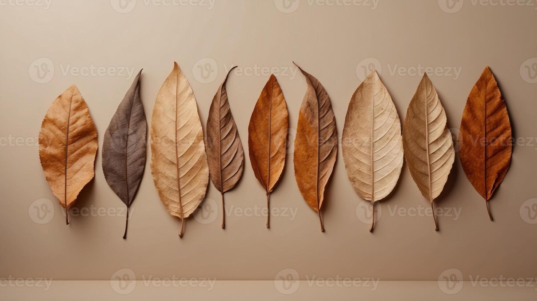 Minimalist dried leaves on beige background. photo