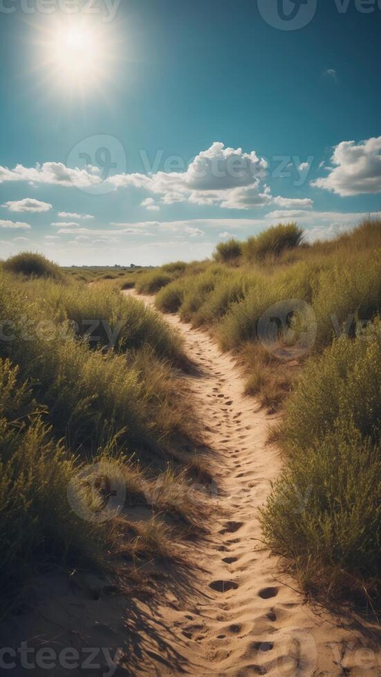 Sunny sandy path with lush green bushes under a bright blue sky with clouds. photo