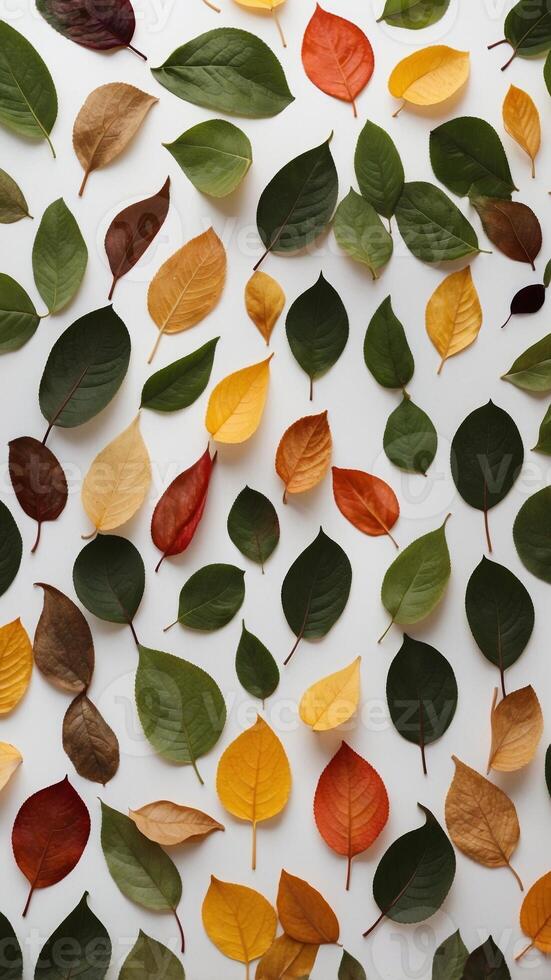 A circle of leaves arranged in a circle on a white surface. photo