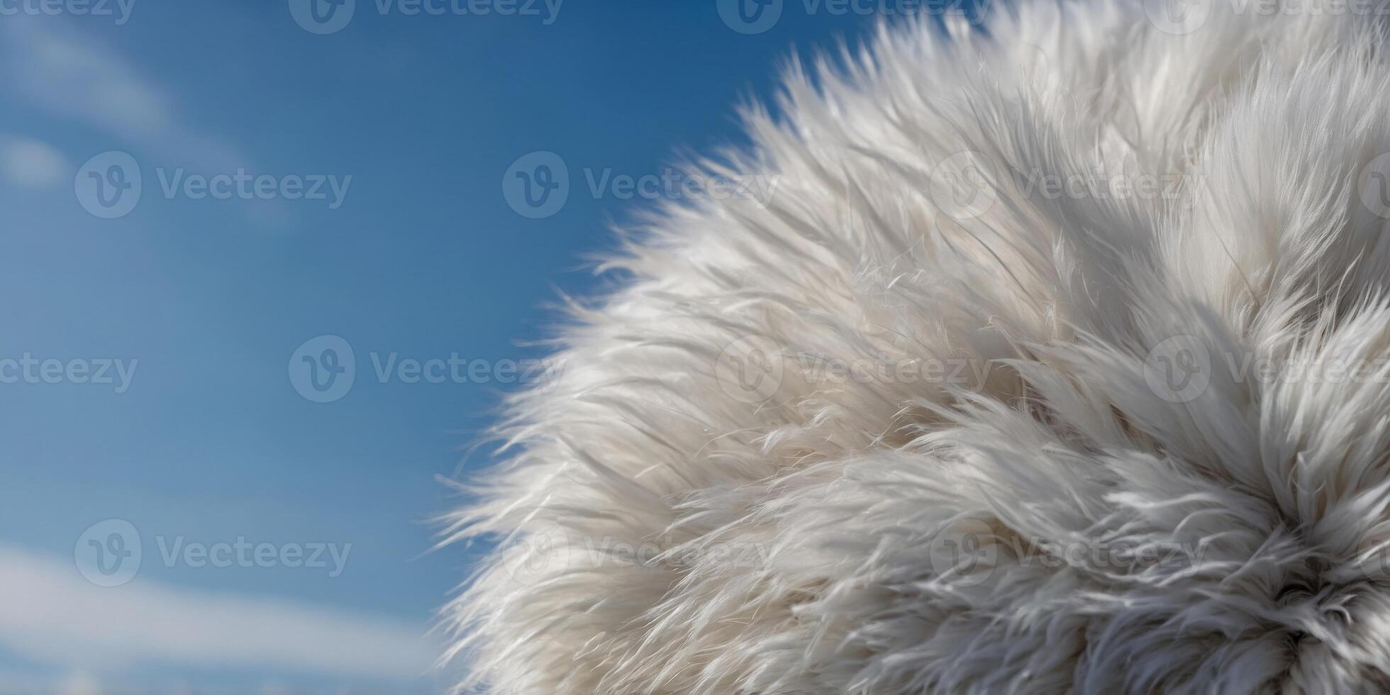 A close up of a fluffy white fur with a blue sky background. photo