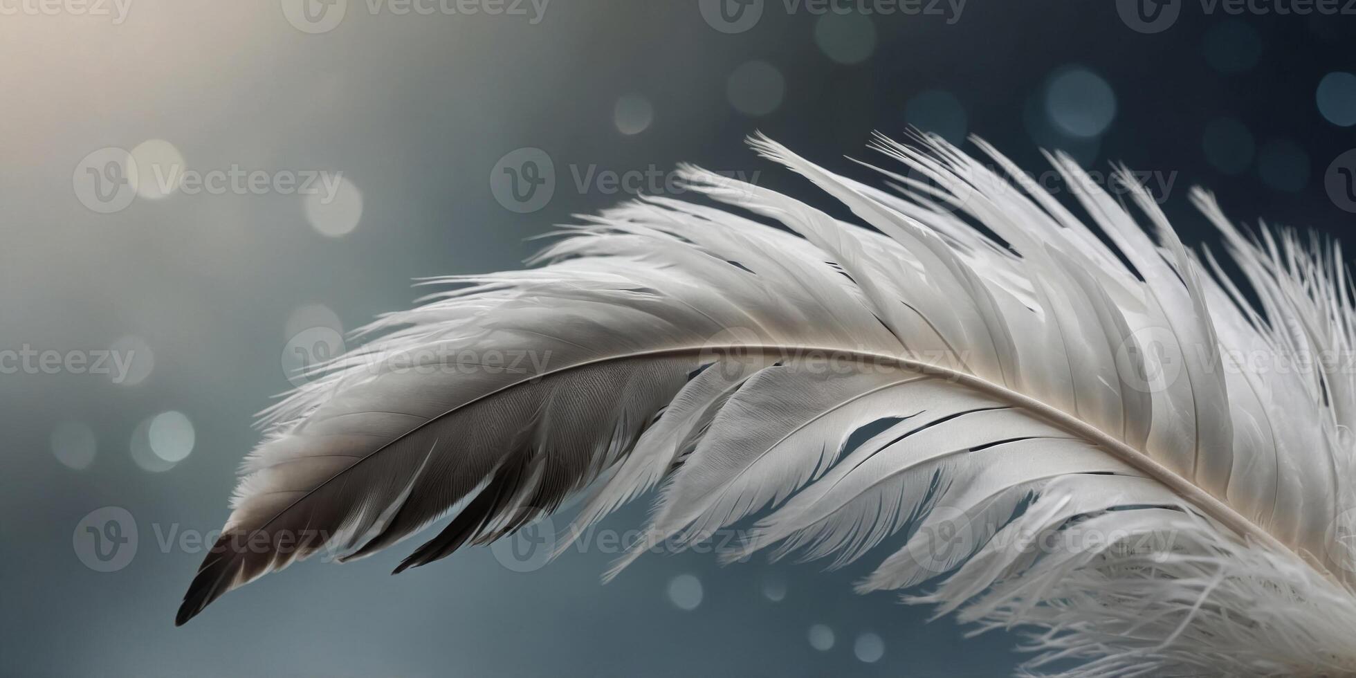 A feathery white bird feather is shown in a close up. photo