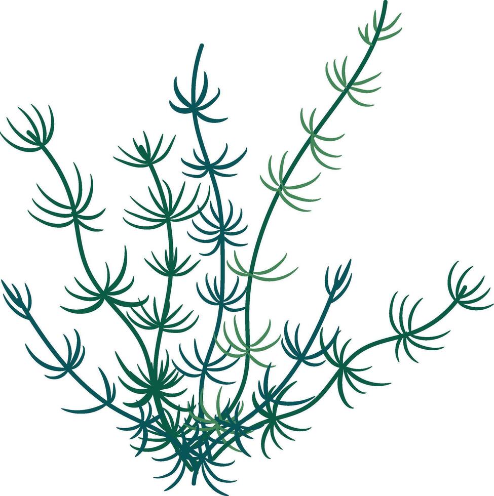 a plant with green leaves on a white background vector