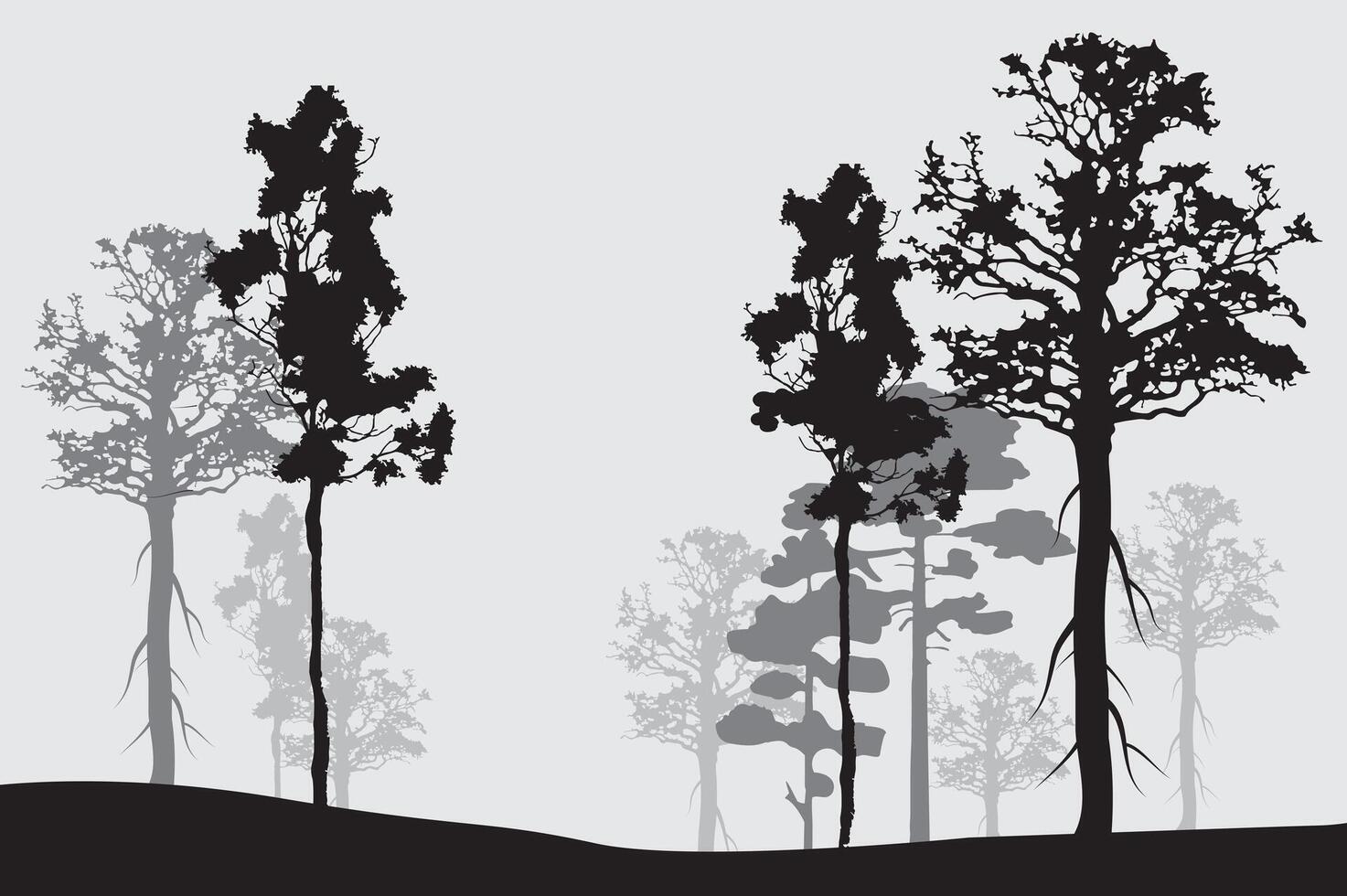 Forest silhouette trees vector