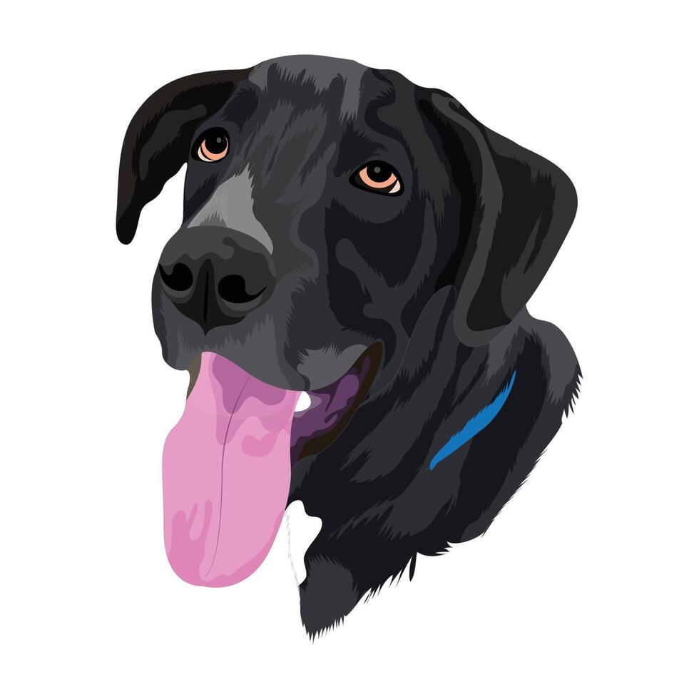 Black Dog Artwork vector