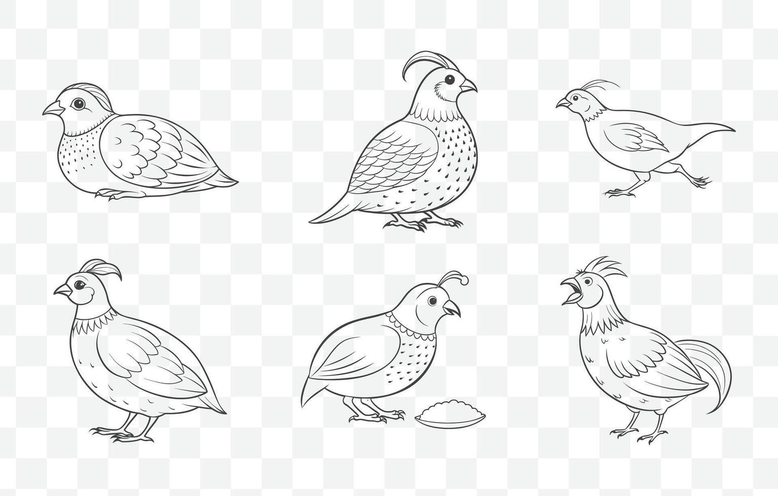 Print Quail Line Art Set Detailed Illustrations for Unique Quail Designs in High Quality vector