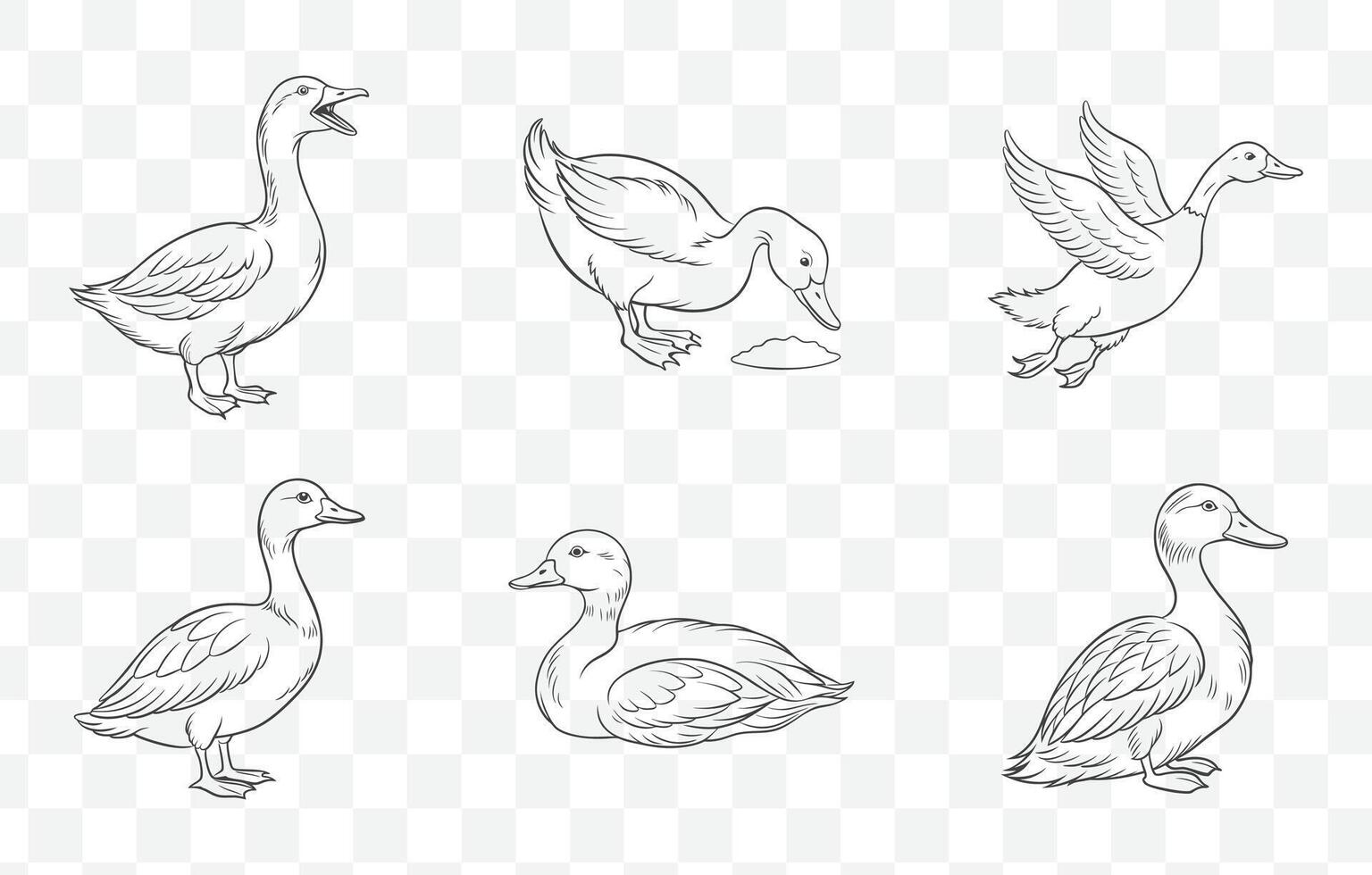 Duck Line Art Set with Various Poses and Detailed Illustrations for Creative Designs and Projects vector