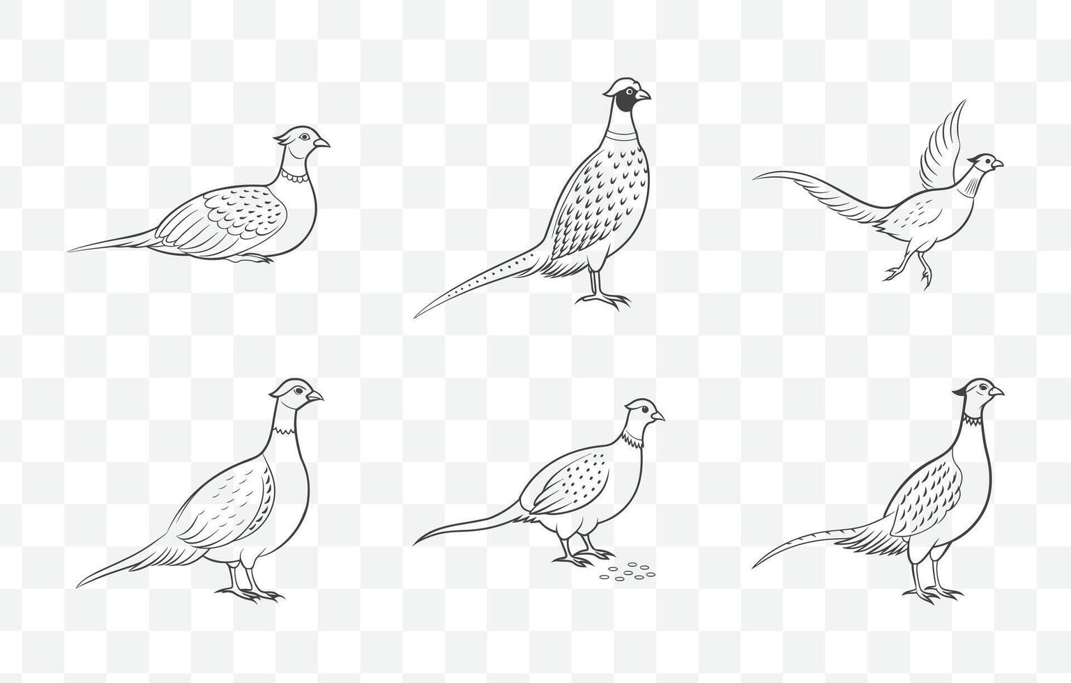 Print Elegant and Detailed Pheasant Line Art Set for Creative Projects and Illustrations vector