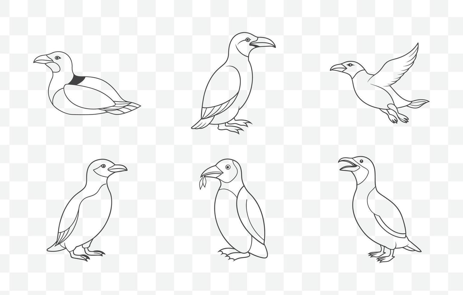 Comprehensive High Quality Razorbill Line Art Illustrations Collection of Seabird Graphics Set vector