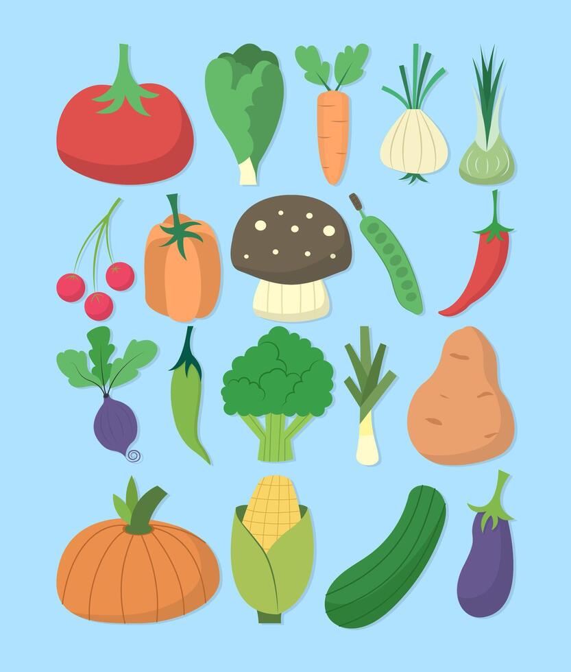 set of flat vegetables illustration collection vector