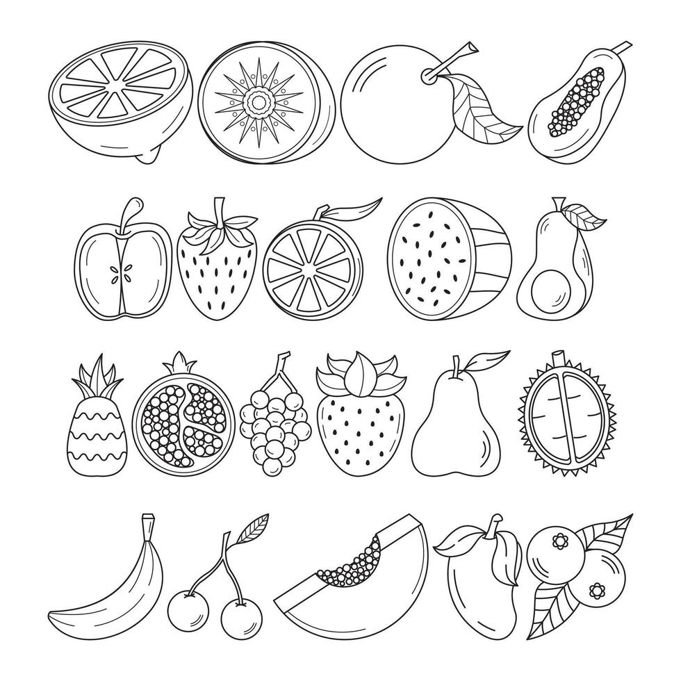 set of fruits outline illustration collection vector