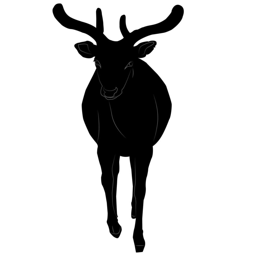 Black silhouette of a deer with antlers walking straight towards vector