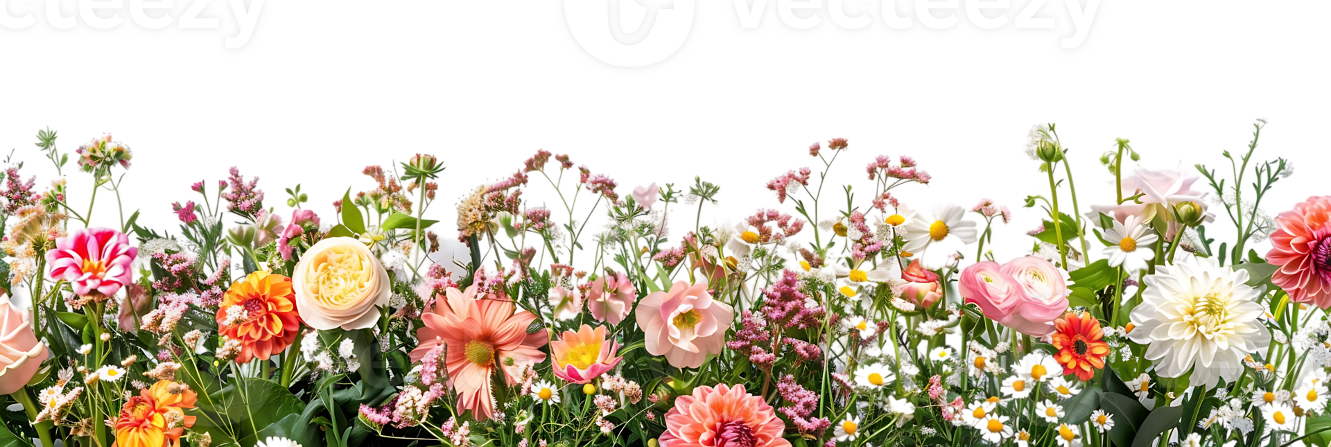 Vibrant Blooms Flourishing with a Transparent Background A Tapestry of Pink, White, and Yellow Flowers png