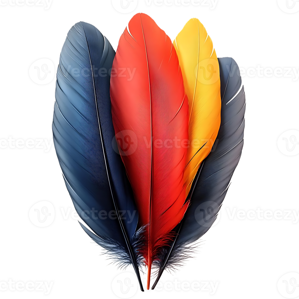 Colorful Feathers Arranged on a Transparent Background with a Black Background png