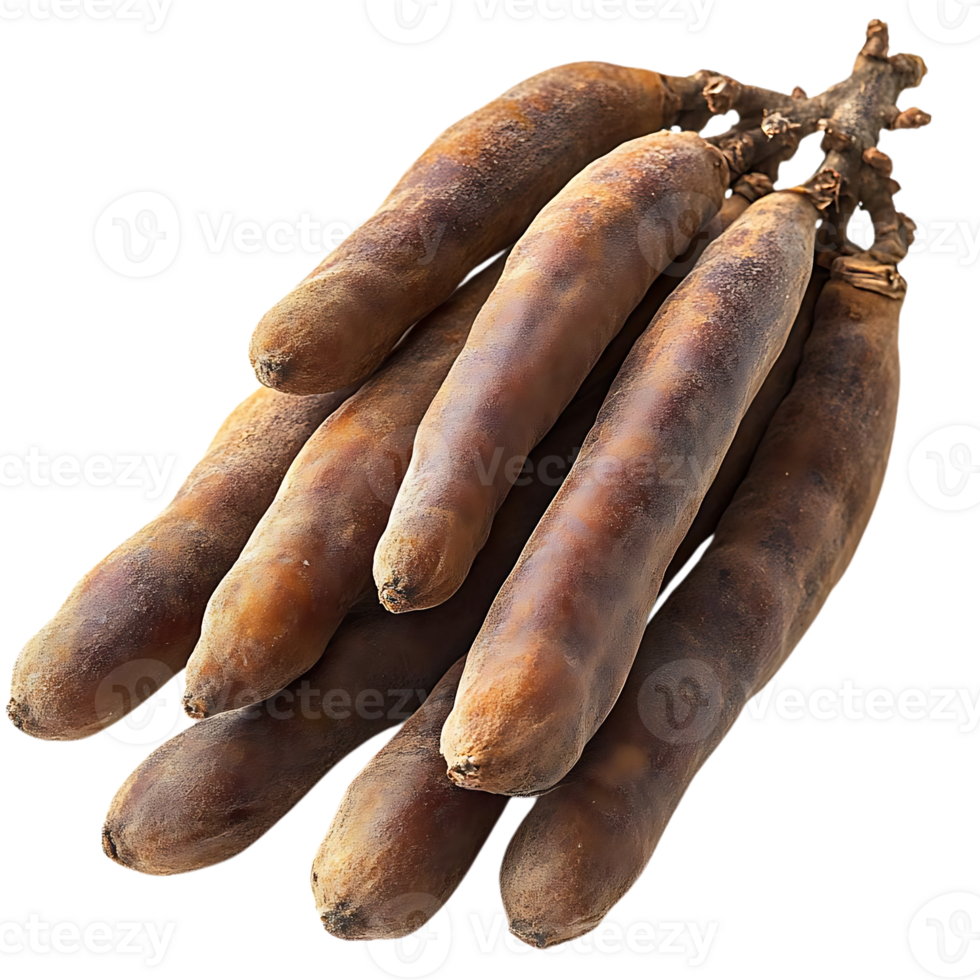 Brown Pods with a Transparent Background A Close-Up Look at the Unique Texture and Shape png