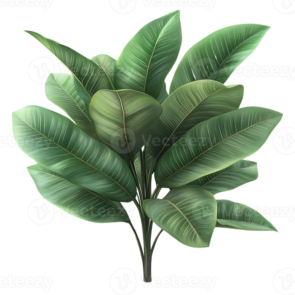 Lush Green Tropical Leaves with a Transparent Background Perfect for Design Projects png